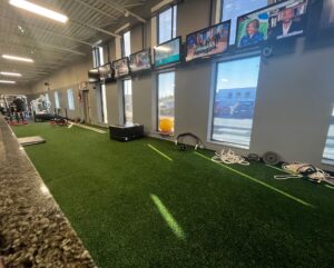 Turf Area From Front